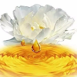 Peony seed oil brings you an unexpected healthy life.