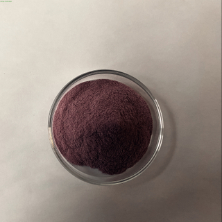 Black Bean Skin Extract