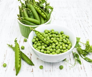 Pea protein efficacy, side effects & use method