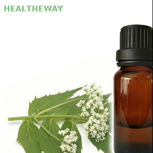 Valerian Oil