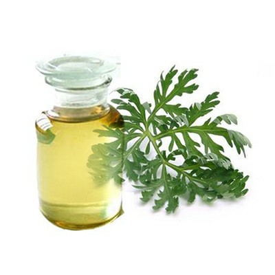 Wormwood oil of the main application 