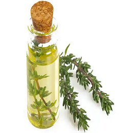 How do I use thyme oil essential oil for breast cancer