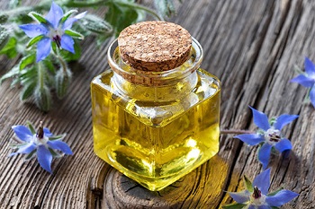 Introduction to borage oil functions and use methods